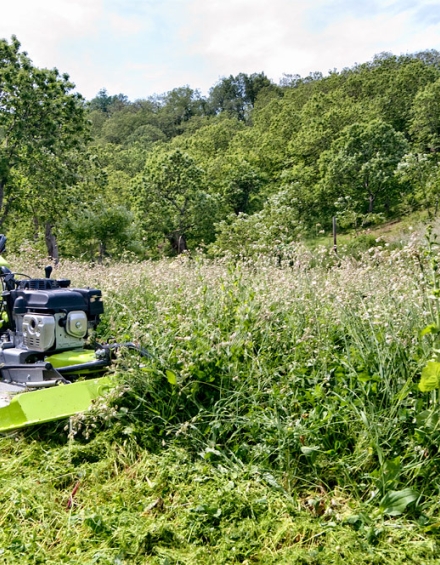 Tramite la leva sulla stegola è possibile regolare la velocità da 0 a 6 km/h in modo continuo, e in retromarcia fino a 3,5 km/h