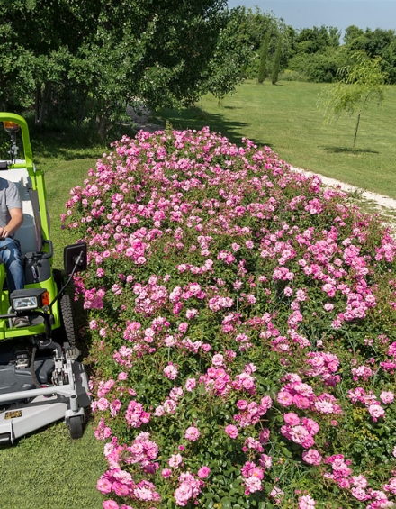 Grillo FD 900 Stage5 4WD