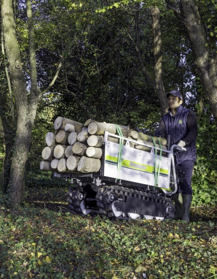 D406 transporting woods