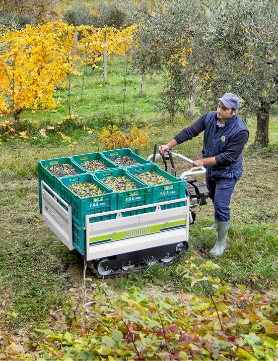 Tranporteurs à chenilles